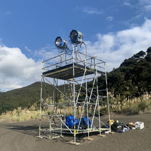 Access Scaffolding
