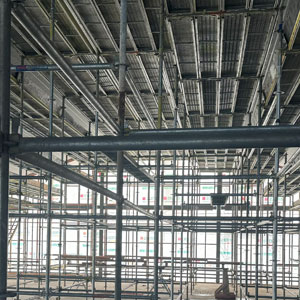 Access Scaffolding